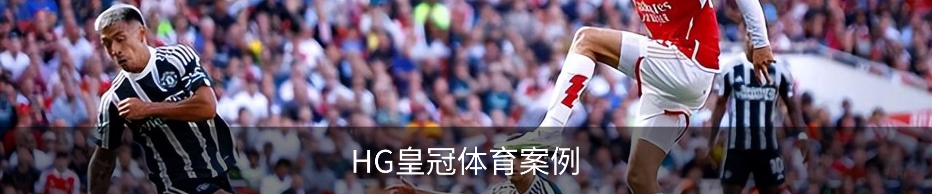 HG皇冠体育案例